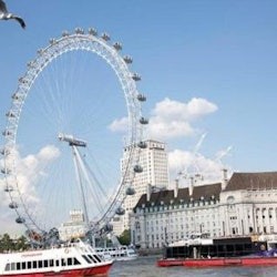 London: Harry Potter Tour, Tower of London and Thames Cruise - 2