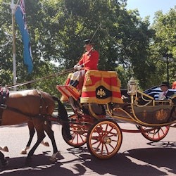 London: Kids Free Guided City Tour - 1