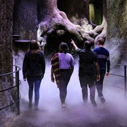 London: Warner Bros. Studio Tour + Roundtrip Transfer - 3