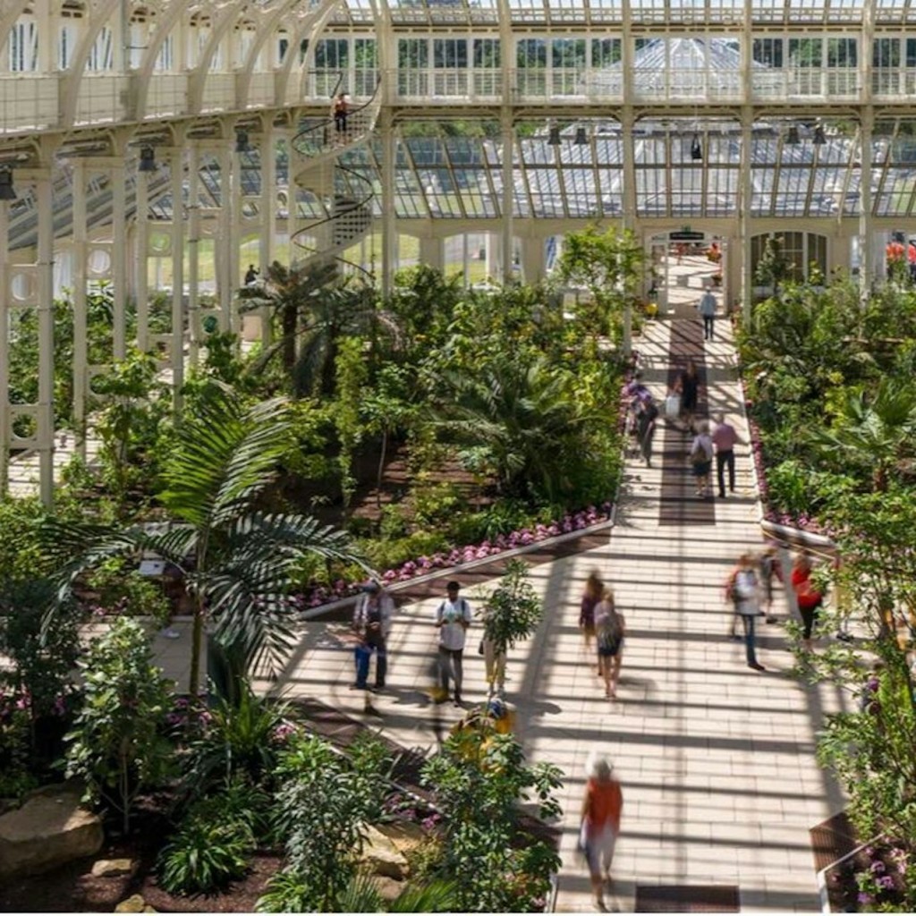 Londres: Tour guiat a peu per Westminster + entrada als jardins de Kew - 3