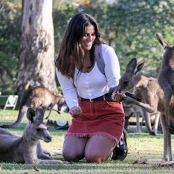 Lone Pine Koala Sanctuary: Entry Ticket - 2