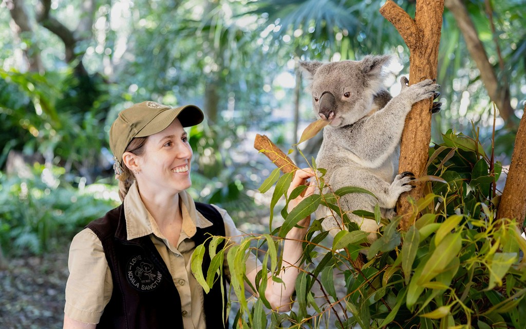 Lone Pine Koala-Schutzgebiet Tickets (Lone Pine Koala Sanctuary) - 3