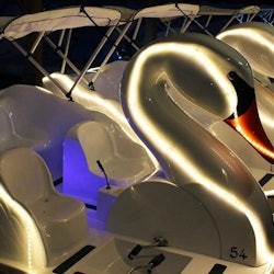 Long Beach: Swan Boat Rental at Rainbow Lagoon - 3