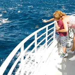 Long Beach: Whale and Dolphin Watching Cruise - 1