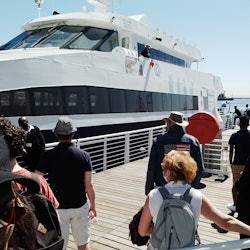 Recorregut privat per un llarg passeig fins a la llibertat i Robben Island - 3