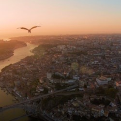 Look at Porto  5D Cinema: Entry Ticket - 2