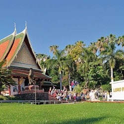 Loro Parque: Entry Ticket + Transport - 3