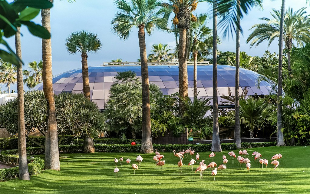 Biglietti per l'ingresso al Loro Parque (Entry Tickets) - 2