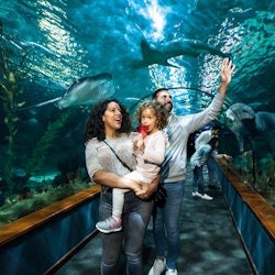 Loro Parque & Siam Park: Entry Ticket + Transfers - 1