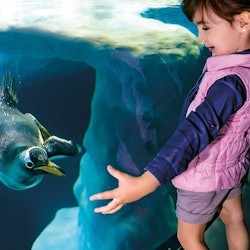 Loro Parque & Siam Park: Entry Ticket + Transfers - 3