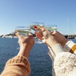 Los Angeles: Champagne Brunch Cruise from Newport Beach - 1
