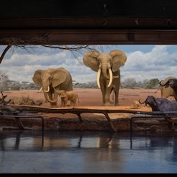 Los Angeles CityPASS®: Warner Bros. Studio Tour + 3 Attractions - 3