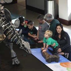 Los Angeles: Exposition Park Guided Walking Tour - 1