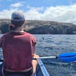 Los Cristianos: Guided Kayak Tour - 1