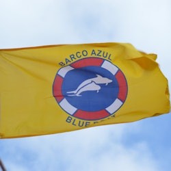 Los Cristianos: Guided Whale Watching Cruise - 1