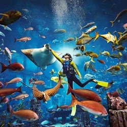 Lost World Aquarium: Aquarium Experiences - 2