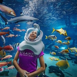 Lost World Aquarium: Aquarium Experiences - 3