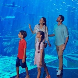 Lost World Aquarium: Diving & Snorkeling Experiences - 1