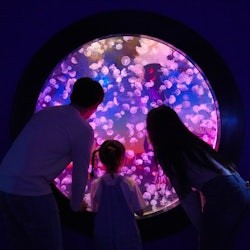 Lotte World Aquarium Seül: Tiquet d'entrada - 1