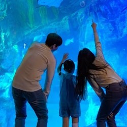 Lotte World Aquarium Seül: Tiquet d'entrada - 3
