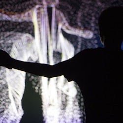 Lumia Gallery: Entry Ticket - 2