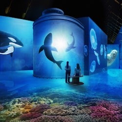 Madame Tussauds Amsterdam + Fabrique des Lumieres - 1