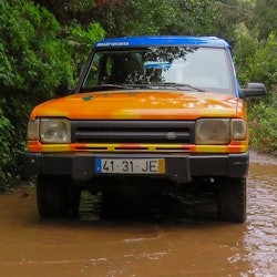 Madeira: Guided 4x4 Jeep Tour + Cabo Girão Skywalk + Wine & Tapas Tasting - 3