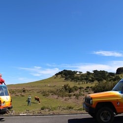 Madeira: Guided Open-Top 4X4 Jeep Tour - 3