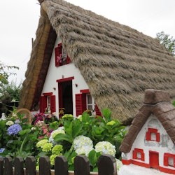 Madeira Peaks: Guided Tour - 1