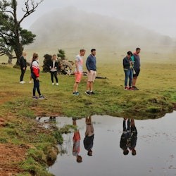 Madiera: Volcanic Pools & Forest 4X4 Jeep Tour - 2