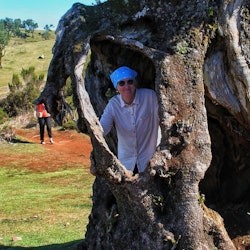 Madiera: Volcanic Pools & Forest 4X4 Jeep Tour - 3