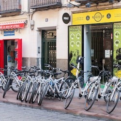 Madrid: Bicycle Rental - 3