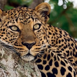 Madrid Family Fun Pass - 1