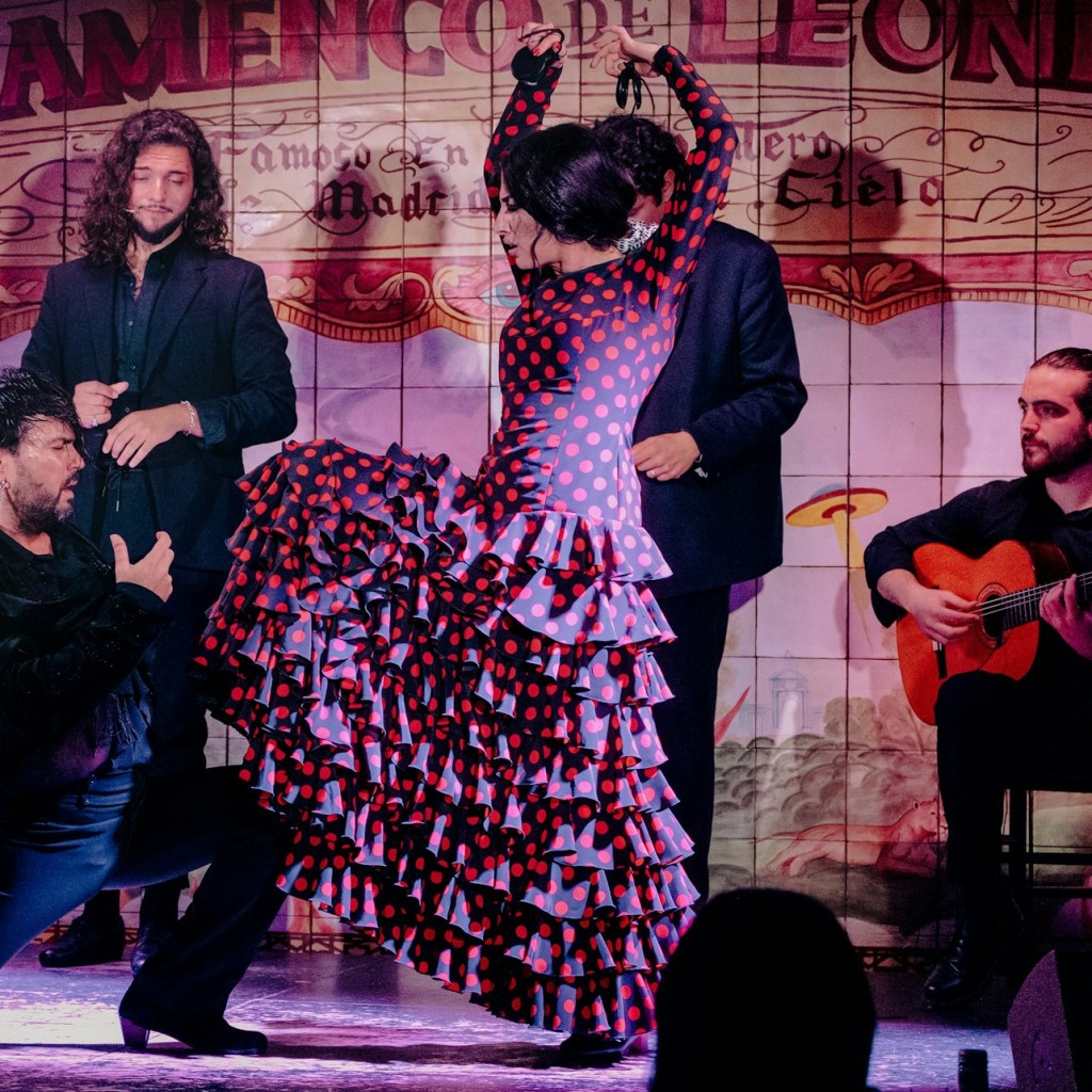 マドリード:フラメンコショーFlamenco de Leones+ディナー - 3