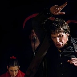 Madrid: Tapas Walking Tour + Flamenco Show - 1