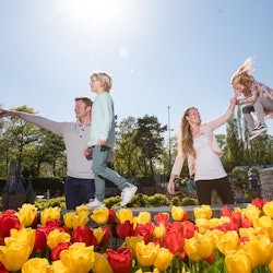 Madurodam + Amsterdam Canal Cruise - 2