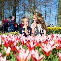 Madurodam & Keukenhof: Day Trip from Amsterdam - 2