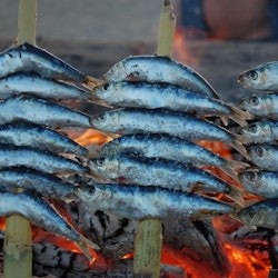 Malaga: Guided Food Tour + Drinks - 1