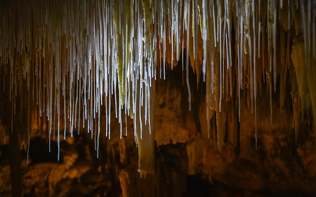 Margaret River: Wycieczka z przewodnikiem po Lake Cave (General) - 1