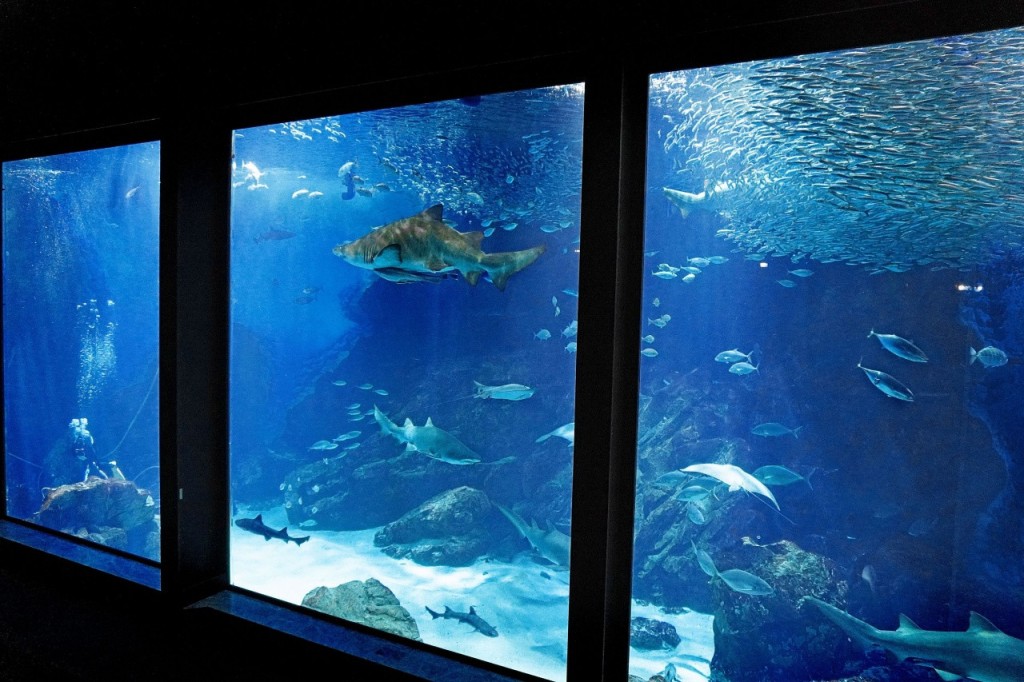 Marine World Uminonakamichi (Marine World Uminonakamichi - Admission) - 3