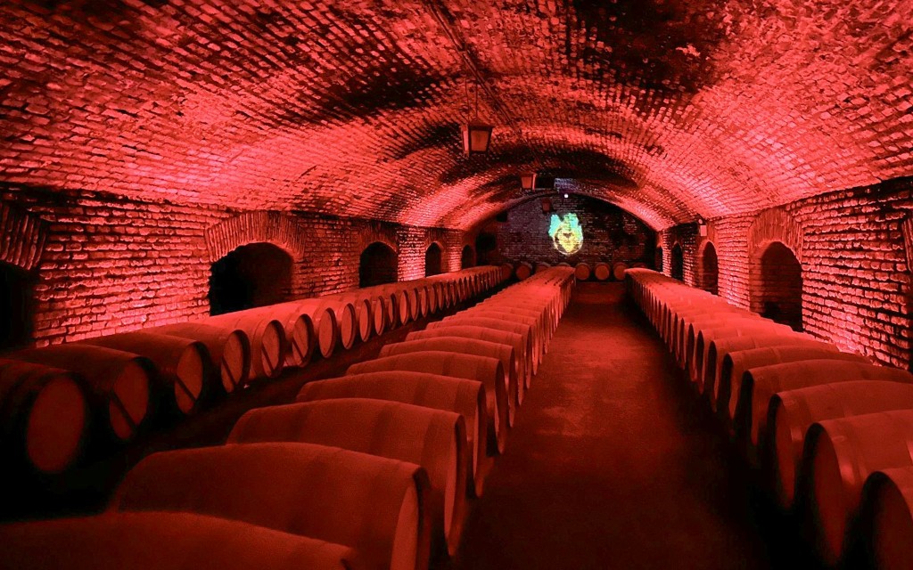 Marqués de Casa Concha: Degustación de vinos en Concha y Toro (Plaza de Armas AM Meeting Point) - 2