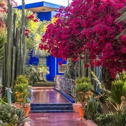 Marràqueix: visita guiada al jardí Majorelle + trasllat - 1