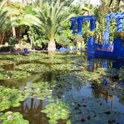Marràqueix: visita guiada al jardí Majorelle + trasllat - 3