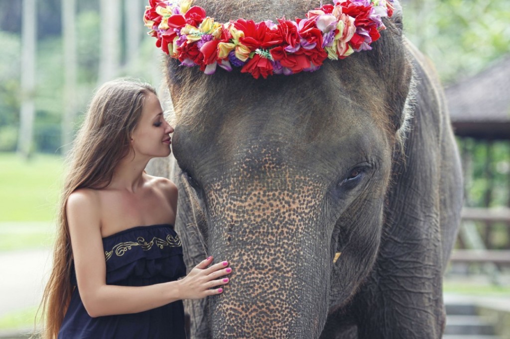 Mason Elephant Park Bali by Mason Adventures (Formerly known as Elephant Safari Park) (Admission (Indonesian Citizens)) - 1
