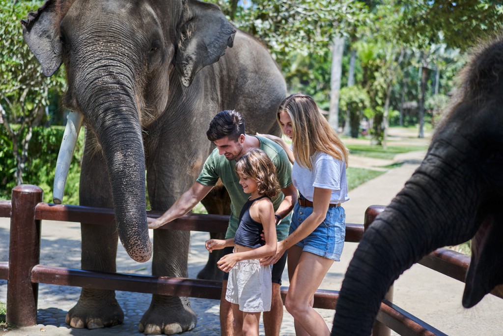 Mason Elephant Park Bali by Mason Adventures (Formerly known as Elephant Safari Park) (Admission (International Travellers)) - 3