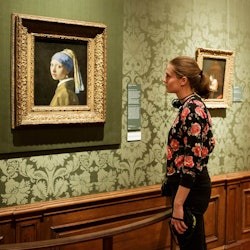 Mauritshuis Museum + Escher in The Palace - 2