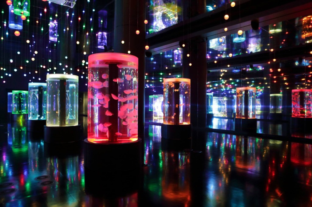 Maxell Aqua Park Shinagawa (Maxell Aqua Park Shinagawa - Admission) - 2