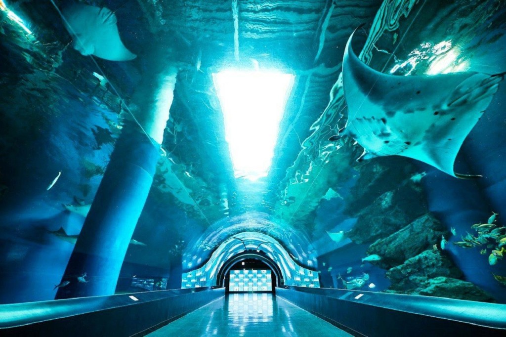 Maxell Aqua Park Shinagawa (Maxell Aqua Park Shinagawa - Admission (Toddler 4-5 years old)) - 3