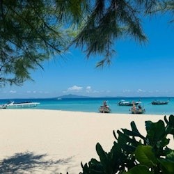 Maya Bay, Phi Phi & Bamboo Island: Day Tour from Phuket + Transfers + Lunch - 2