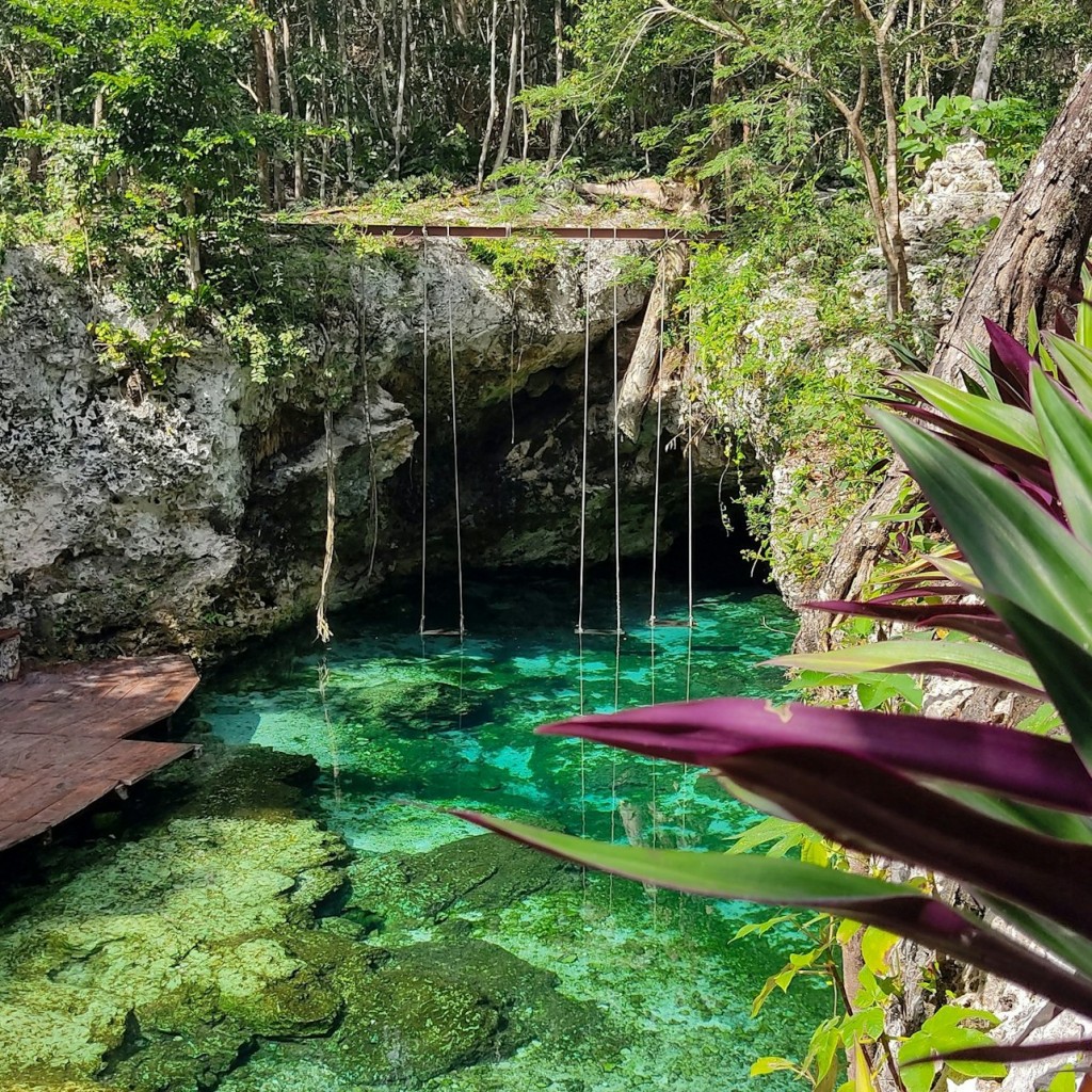 Ruines mayas de Tulum, Cenote Mariposa et Playa del Carmen : Aller-retour avec déjeuner - Portuguese Tour - 1